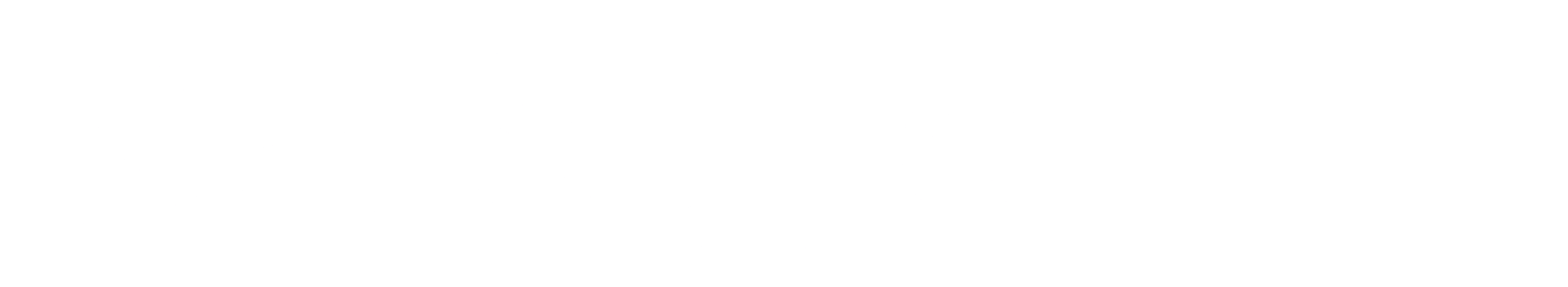 StyleSend Logo